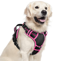 Arnés Rabbitgoo para perros grandes sin tirón y 3 hebillas para ajuste rápido.