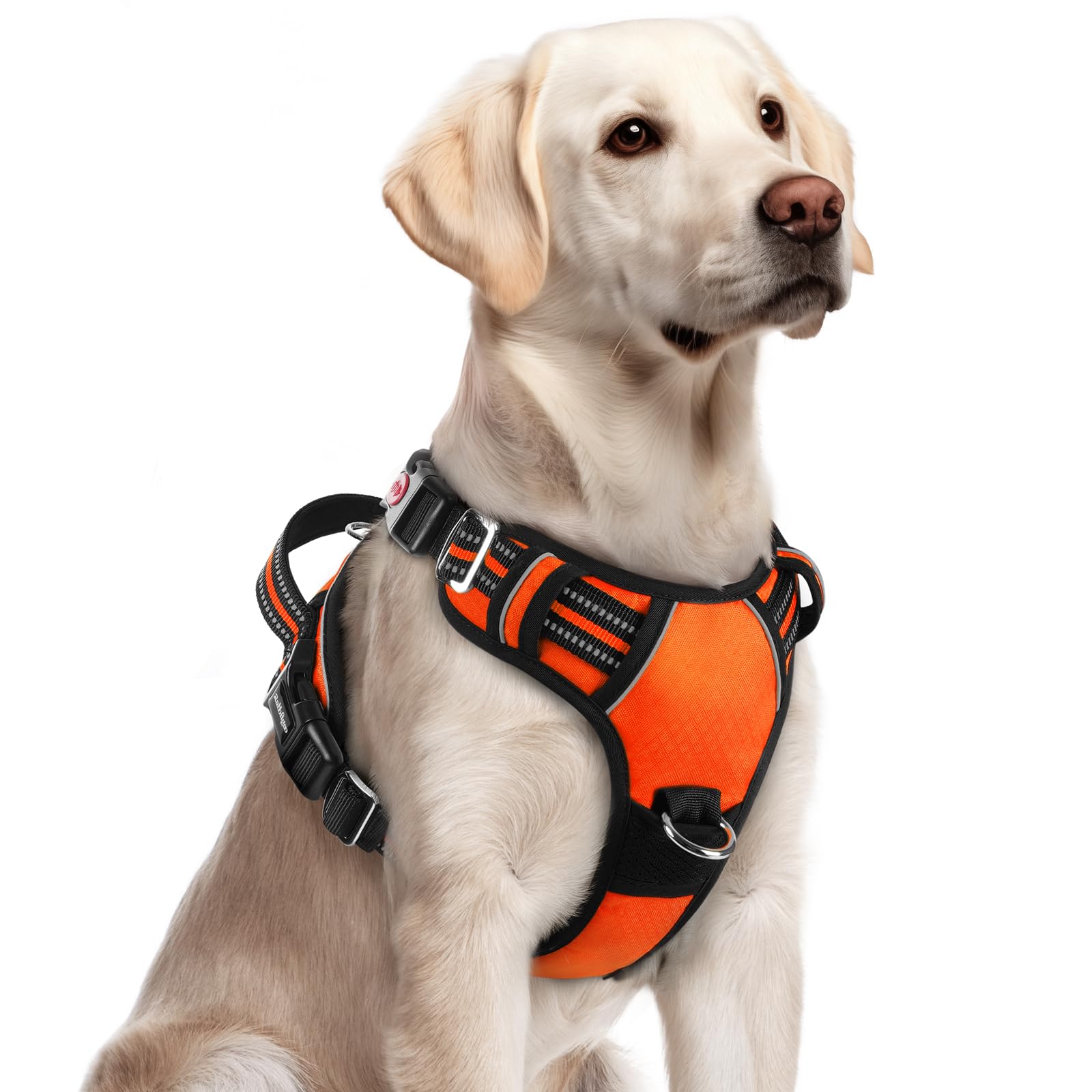 Arnés Rabbitgoo para perro grande sin tirones con 3 hebillas para colocar rápido.