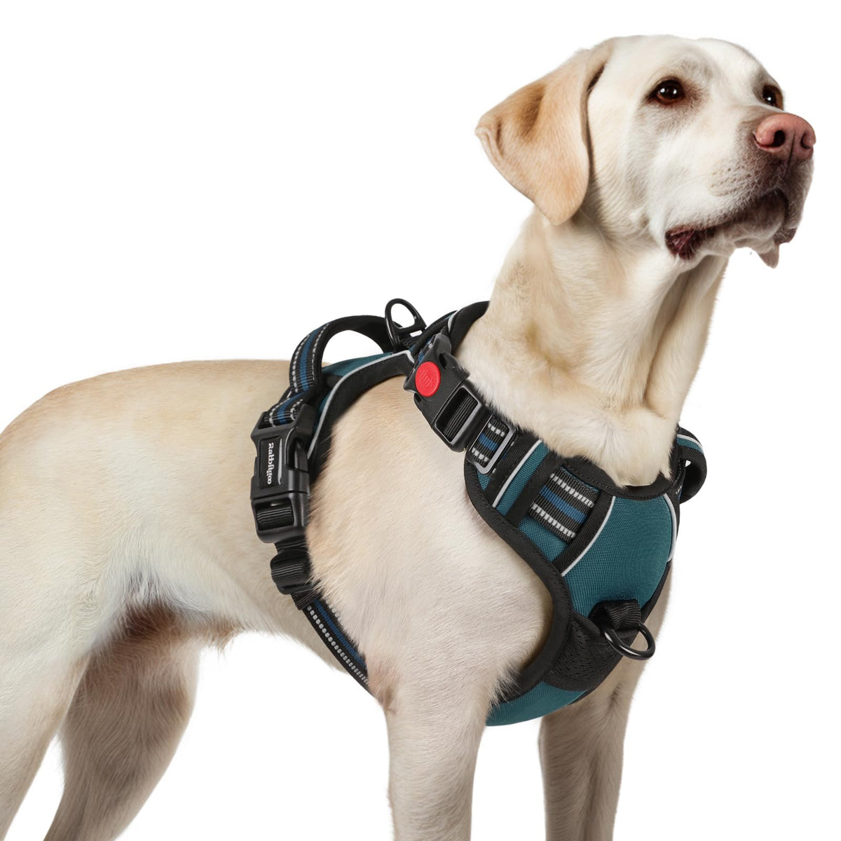 rabbitgoo arnés para perro grande con tres hebillas, ajuste seguro para paseos diarios
