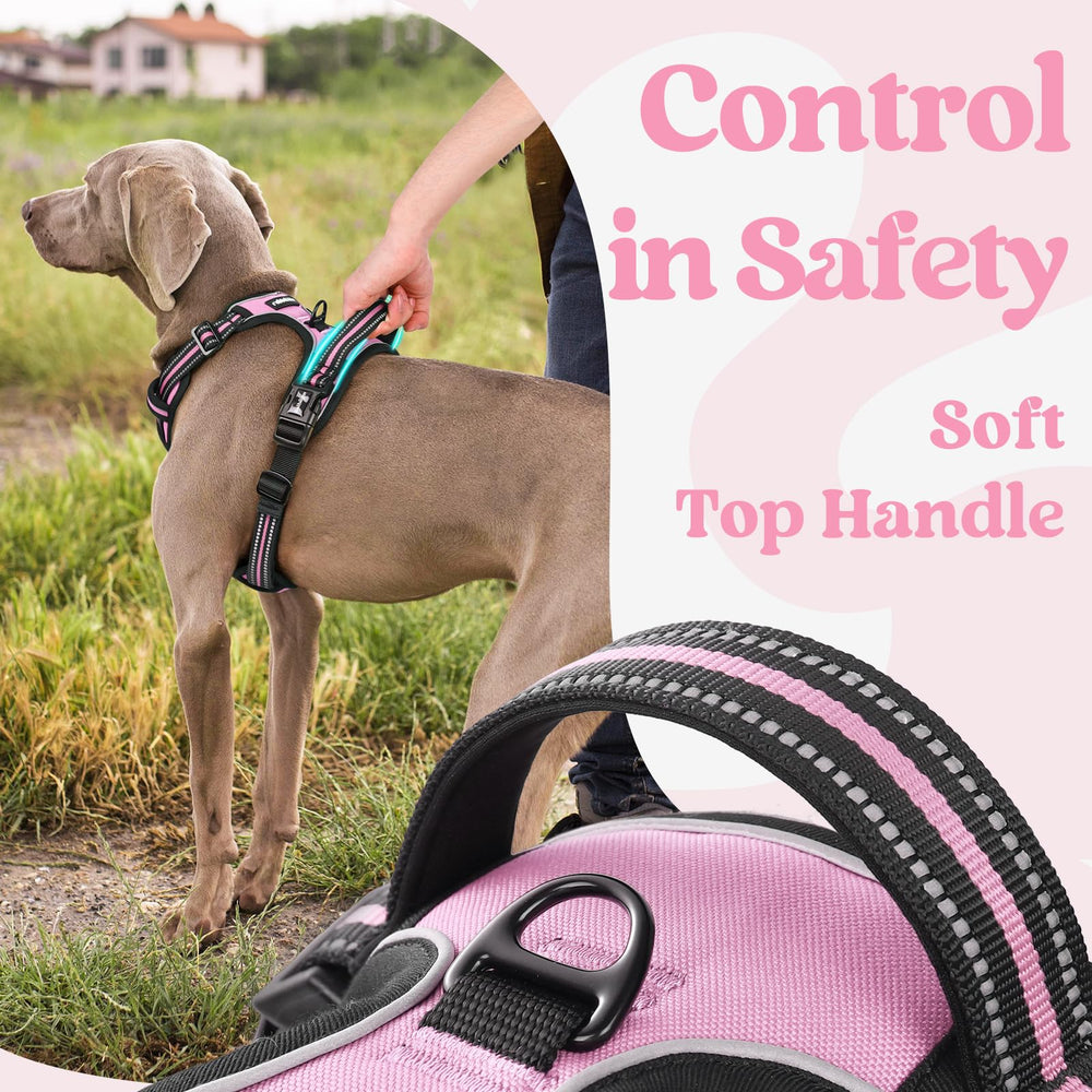 Arnés Rabbitgoo de tejido oxford resistente para uso duradero.