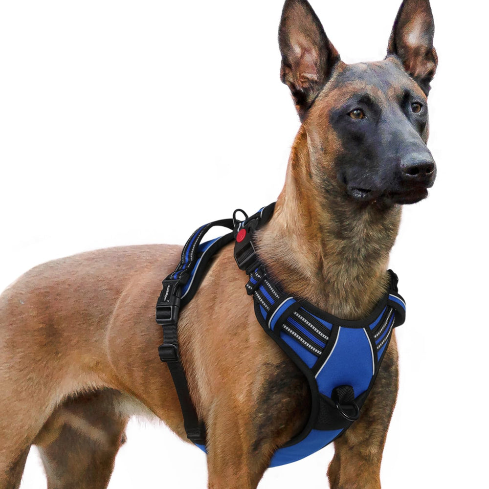 Arnés Rabbitgoo para perro grande con tres hebillas y ajuste seguro para paseos diarios.