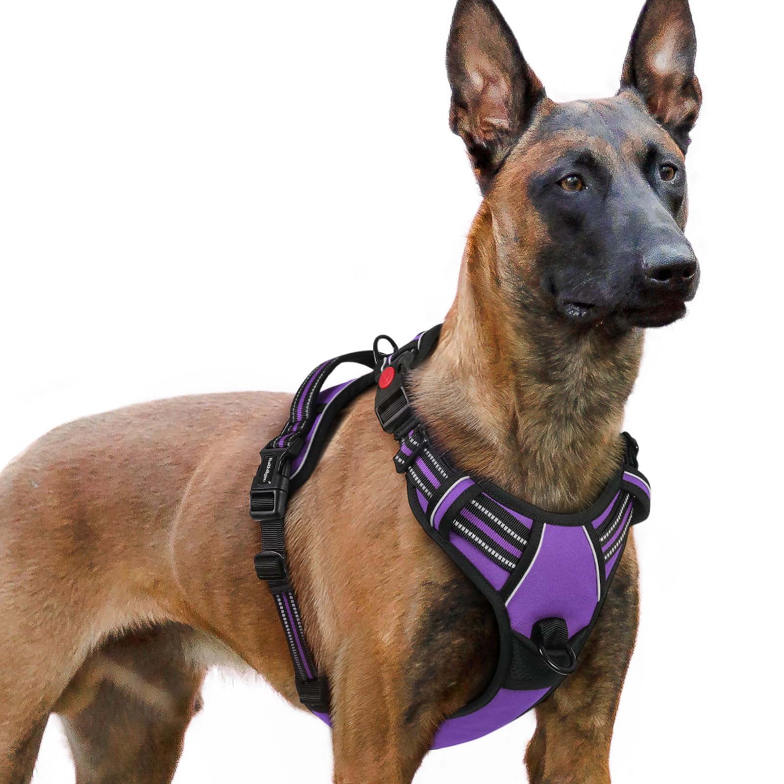 Arnés Rabbitgoo para perro grande con tres hebillas, ajuste seguro