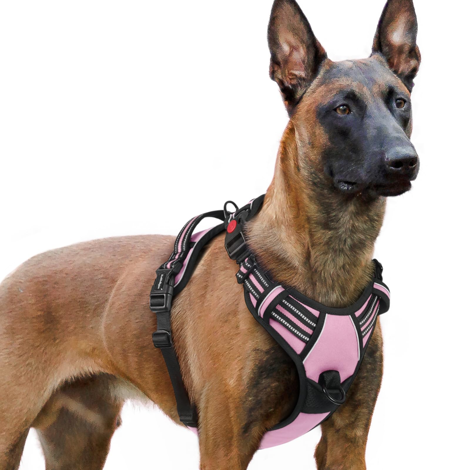 Arnés Rabbitgoo para perro grande con tres hebillas, fácil de colocar y quitar