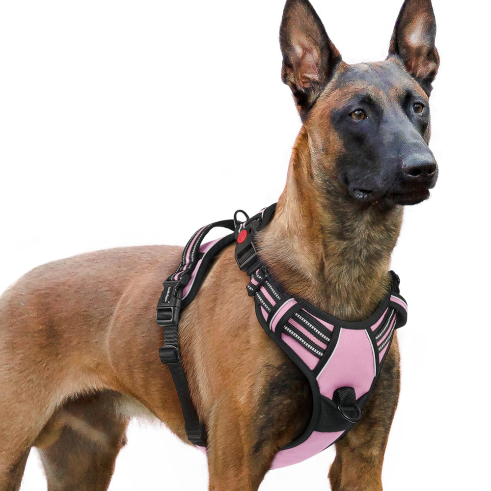 Arnés Rabbitgoo para perro grande con tres hebillas, fácil de colocar y quitar