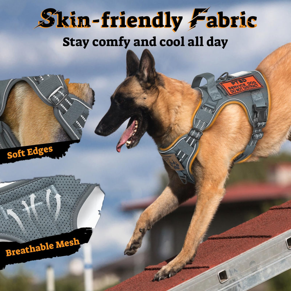 Arnés rabbitgoo con mango de control para manejo rápido en emergencia