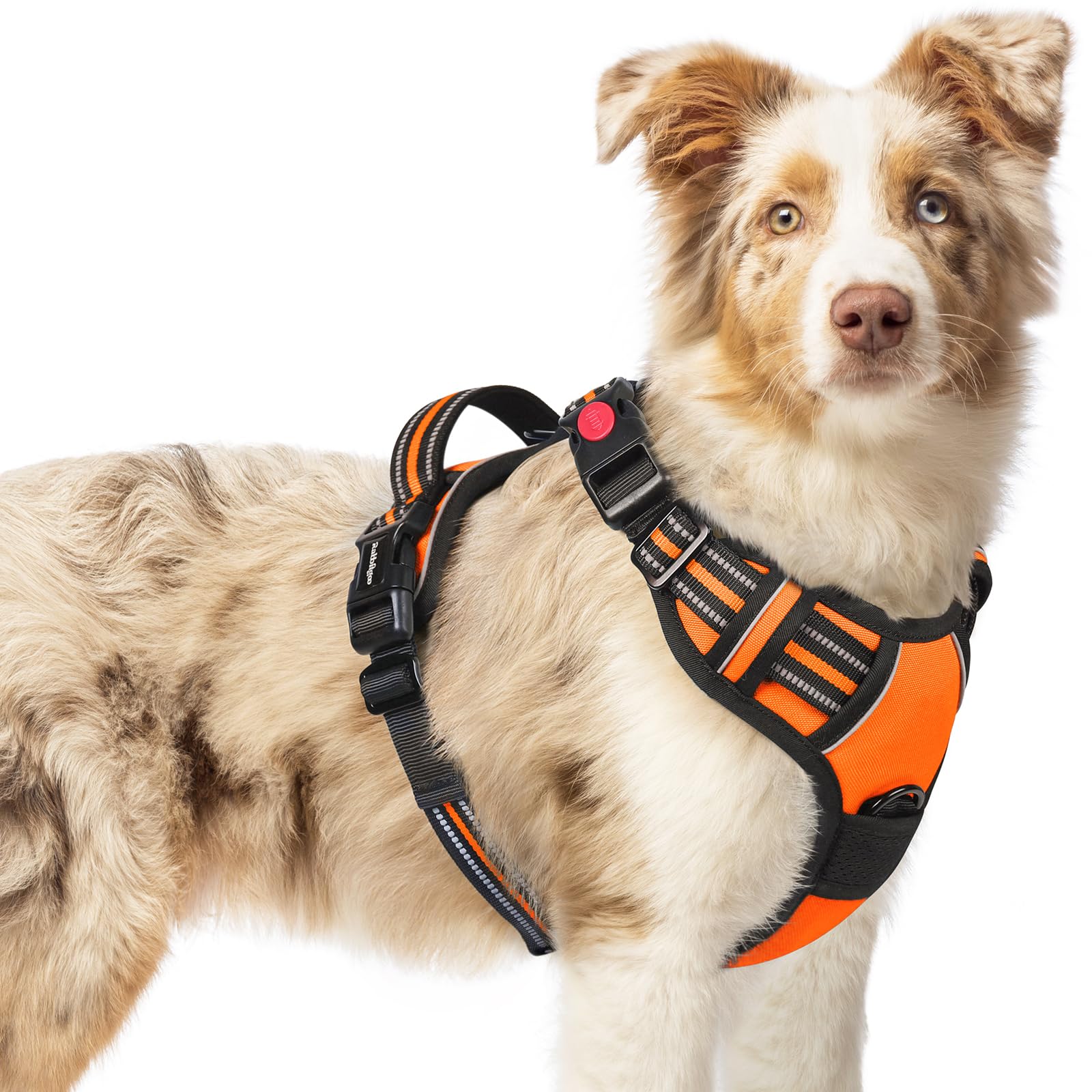 Arnés Rabbitgoo para perro mediano con 3 hebillas, ideal para paseos sin tirones