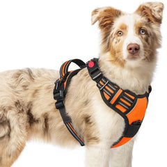 Arnés Rabbitgoo para perro mediano con 3 hebillas, ideal para paseos sin tirones