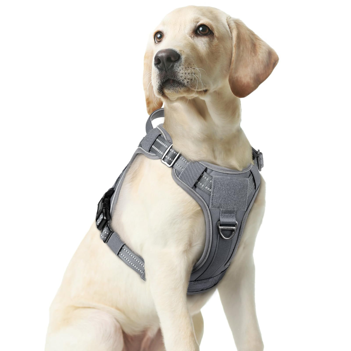 Arnés rabbitgoo para perros medianos con ajuste preciso para mayor comodidad durante caminatas