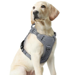 Arnés rabbitgoo para perros medianos con ajuste preciso para mayor comodidad durante caminatas