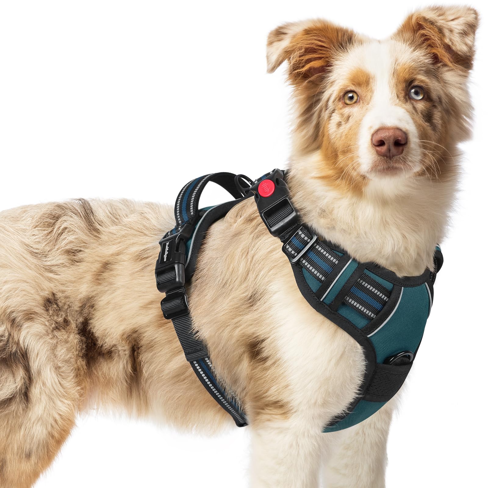 Arnés Rabbitgoo para perro mediano con 3 hebillas para ajuste seguro.