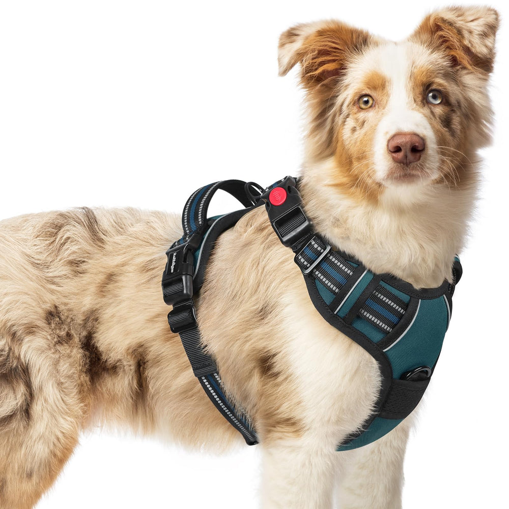 Arnés Rabbitgoo para perro mediano con 3 hebillas para ajuste seguro.