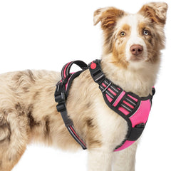 Arnés Rabbitgoo para perro mediano, vista frontal, ajuste cómodo para paseos diarios.