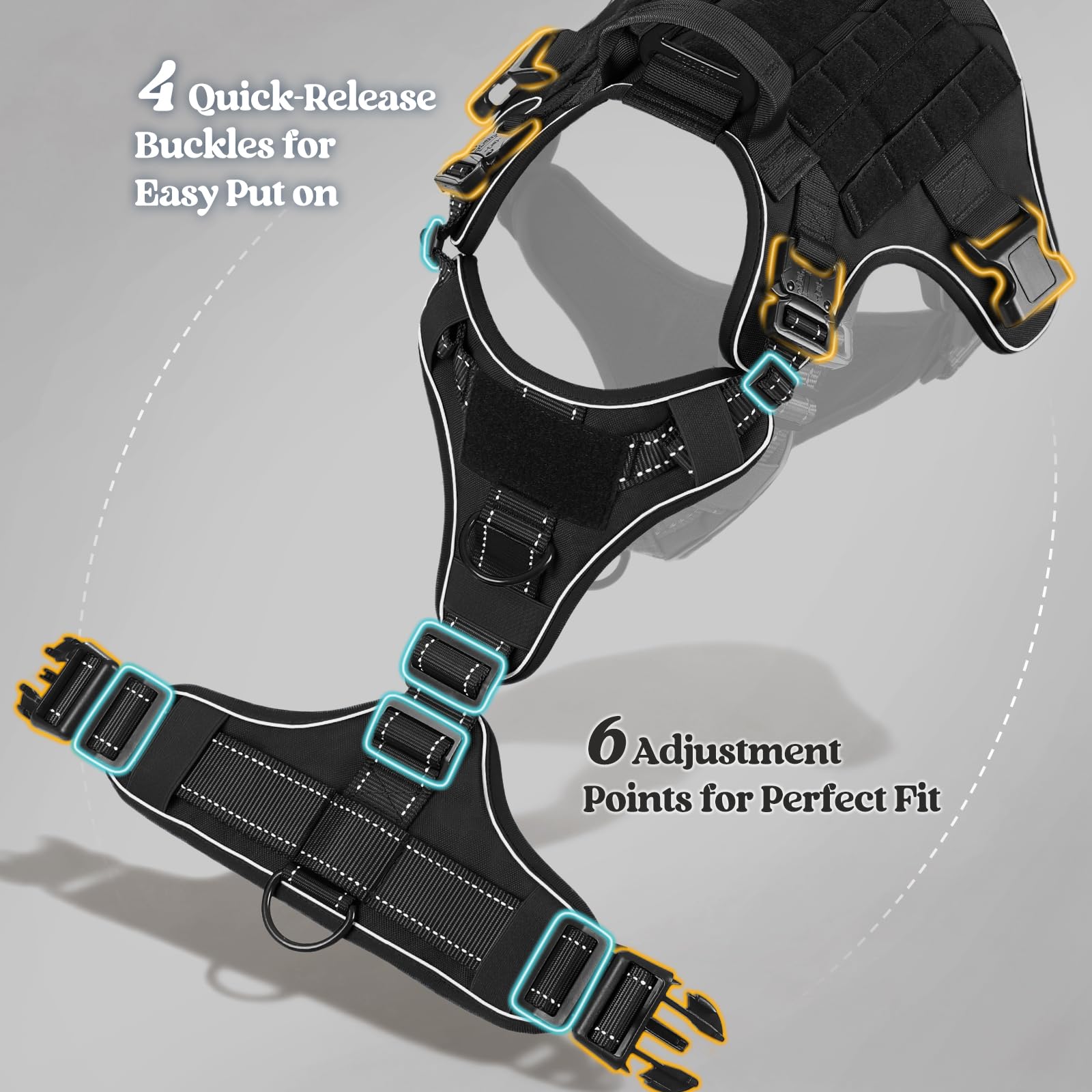 Rabbitgoo diseño MOLLE para accesorios y parches.