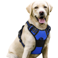 Rabbitgoo arnés para perro nylon reflectante para paseos nocturnos seguros