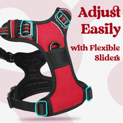 Tejido Oxford resistente de rabbitgoo garantiza durabilidad para perros activos.