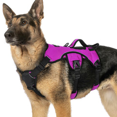 Arnés rabbitgoo evita que el perro se escape, con diseño seguro y morado.