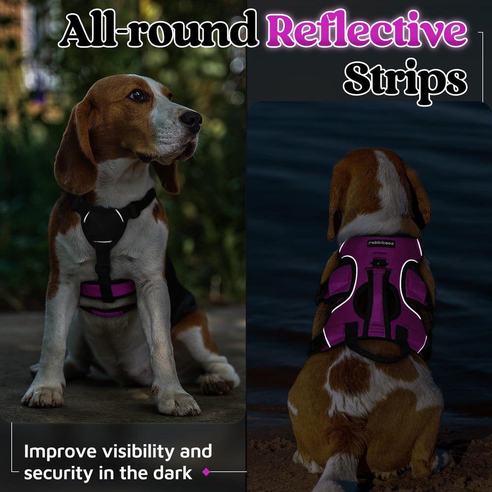 Ideales para paseos y entrenamiento al aire libre con rabbitgoo