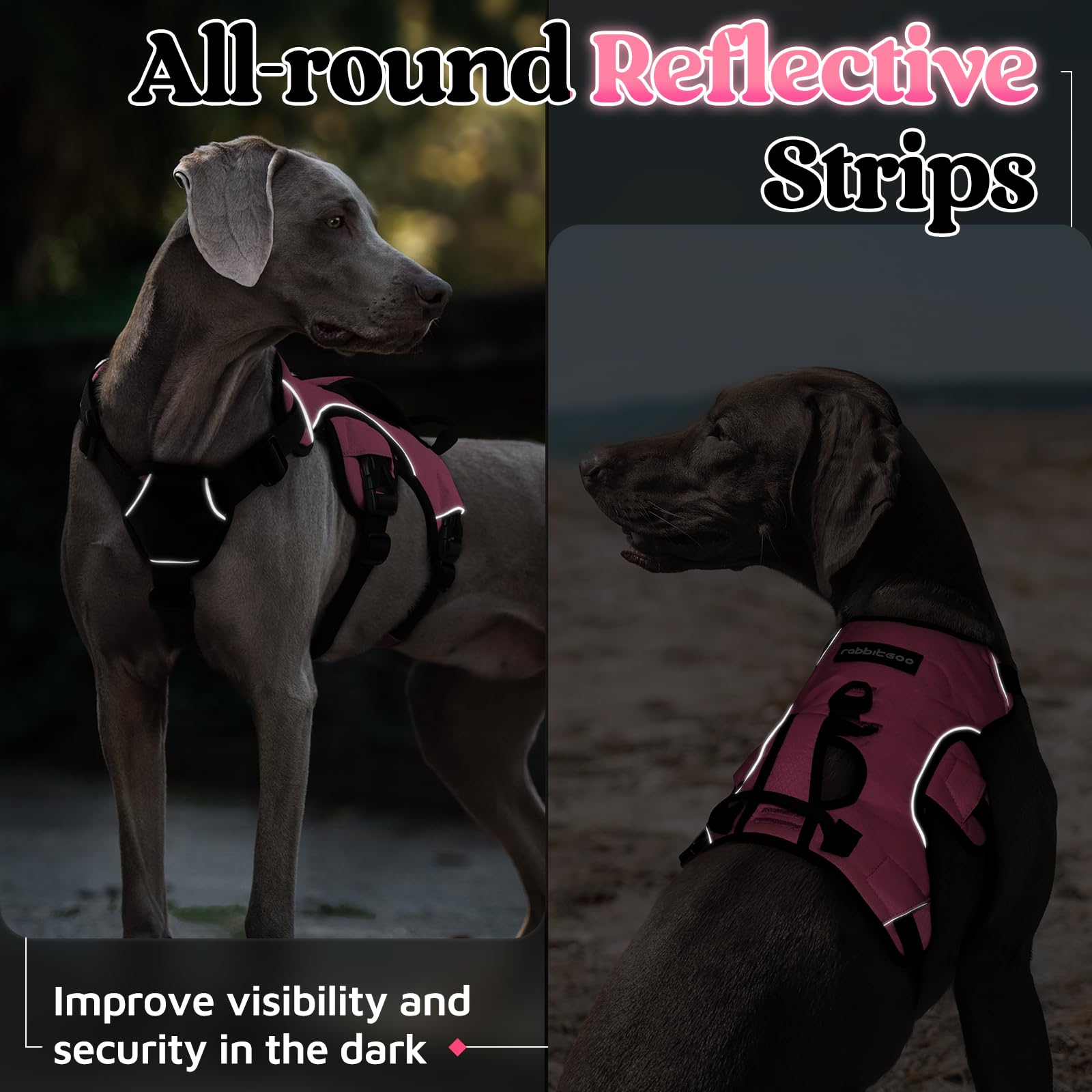 Arnés Rabbitgoo ideal para paseos diurnos y nocturnos con seguridad.