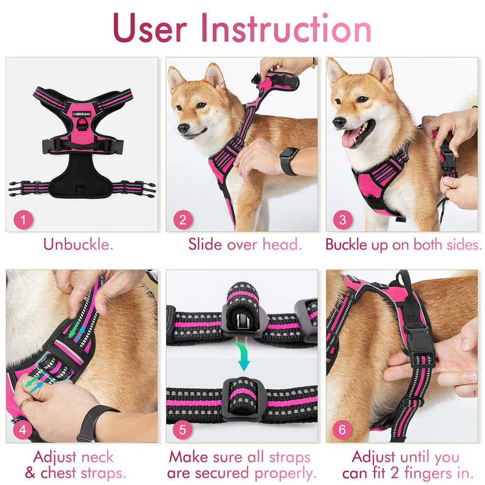 Arnés ideal de Rabbitgoo para paseos diarios con perros grandes.