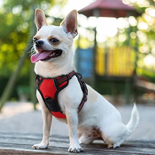 rabbitgoo arnés para paseos al aire libre, cómodo y seguro