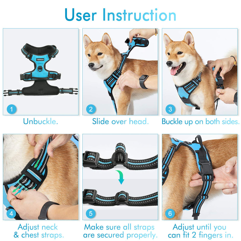 Arnés Rabbitgoo ideal para paseos nocturnos gracias a su reflectante