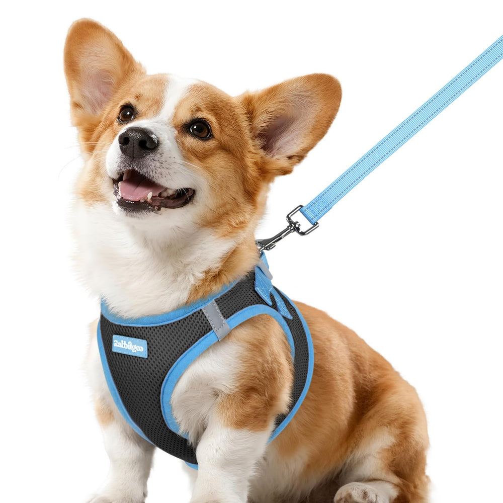 rabbitgoo arnés para perro con paso de entrada y ajuste cómodo