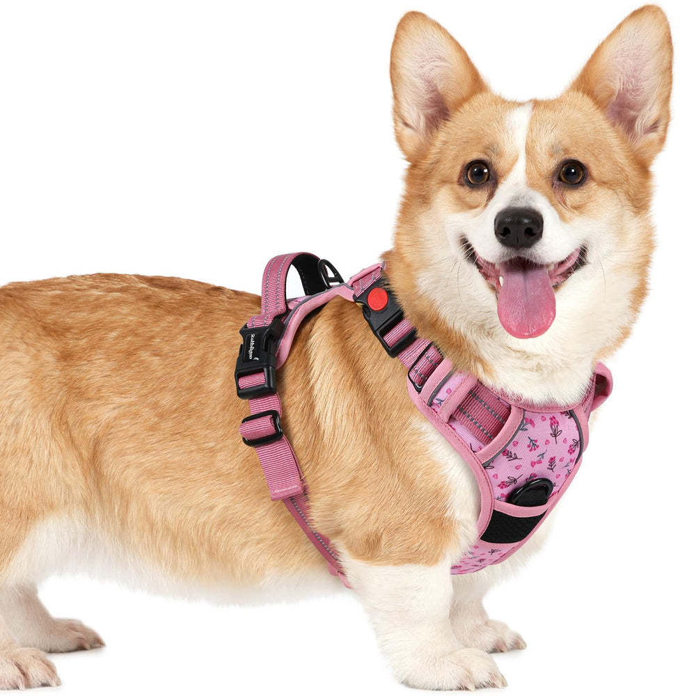 Arnés Rabbitgoo para perros pequeños con ajuste de 4 cintas para paseo cómodo.