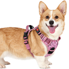 Arnés Rabbitgoo para perros pequeños con ajuste de 4 cintas para paseo cómodo.