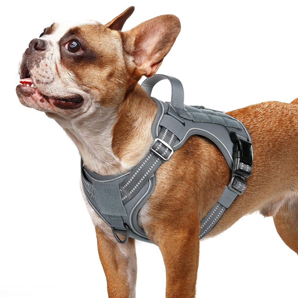 rabbitgoo arnés para perro pequeño con ajuste rápido para paseos seguros