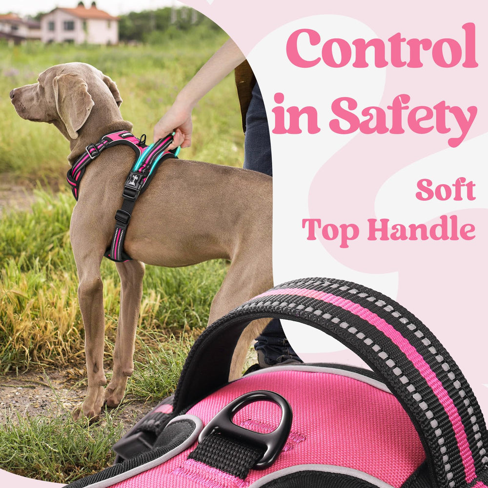 Asidero superior ergonómico para un control cómodo durante el paseo.