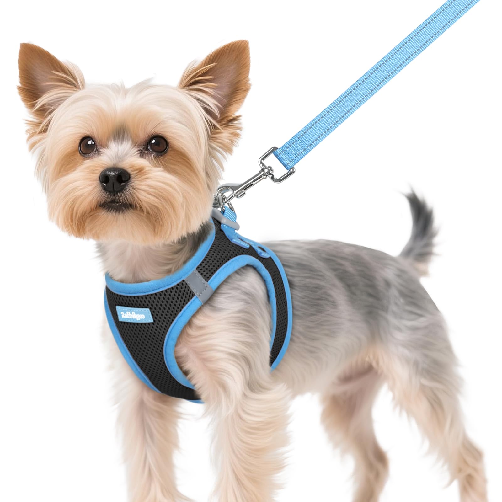 Arnés Rabbitgoo para perros pequeños, vista frontal, ideal para paseos diarios.
