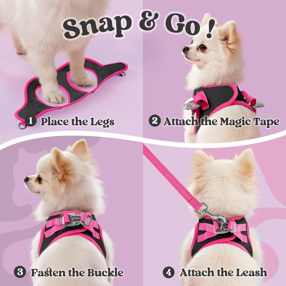 Arnés Rabbitgoo para perros pequeños, vista lateral, fácil de poner y ajustar.