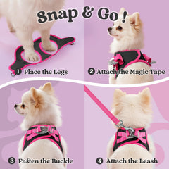 Arnés Rabbitgoo para perros pequeños, vista lateral, fácil de poner y ajustar.