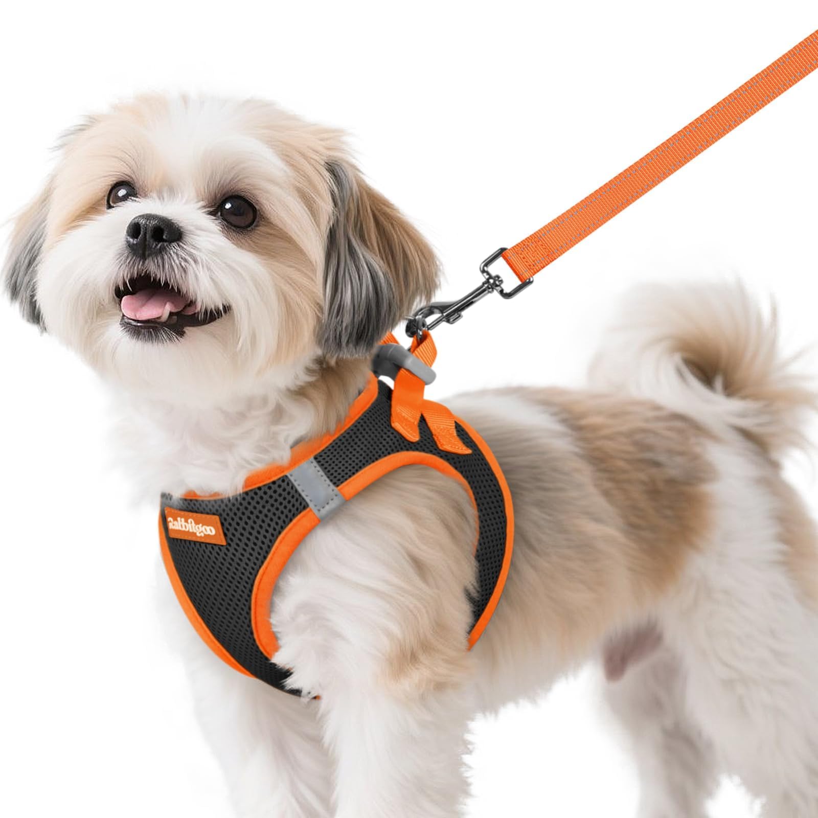 Rabbitgoo arnés para perro pequeño con malla transpirable, ideal para paseos diarios.