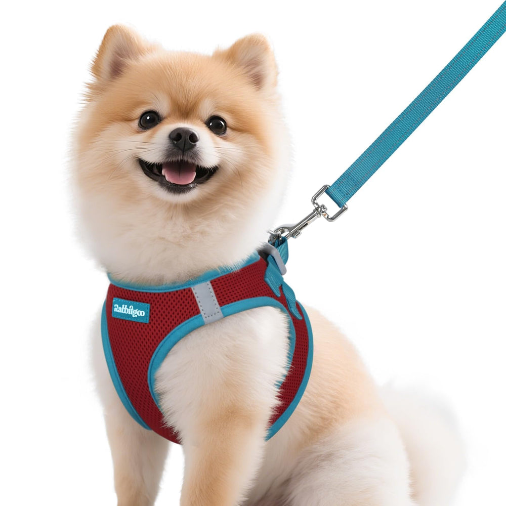 Arnés rabbitgoo para perro pequeño con paso-entrada transpirable, cómodo para paseos diarios.
