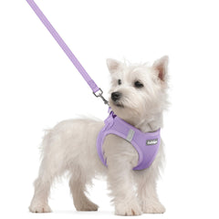Arnés Rabbitgoo para perro pequeño con paso de entrada, cómodo y fácil de usar.