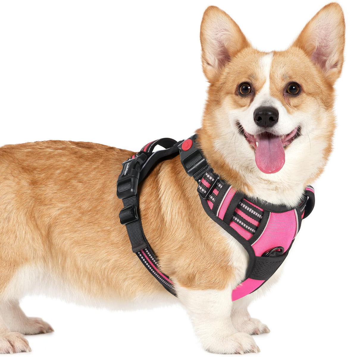 Arnés rabbitgoo para perro pequeño en rosa con 3 hebillas para un ajuste seguro.