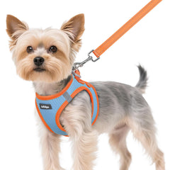 Arnés Rabbitgoo para perro pequeño XS con ajuste cómodo para paseos diarios.