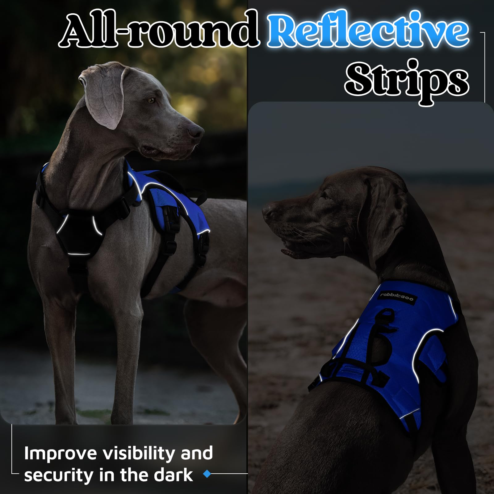 Arnés Rabbitgoo ideal para perros grandes al caminar