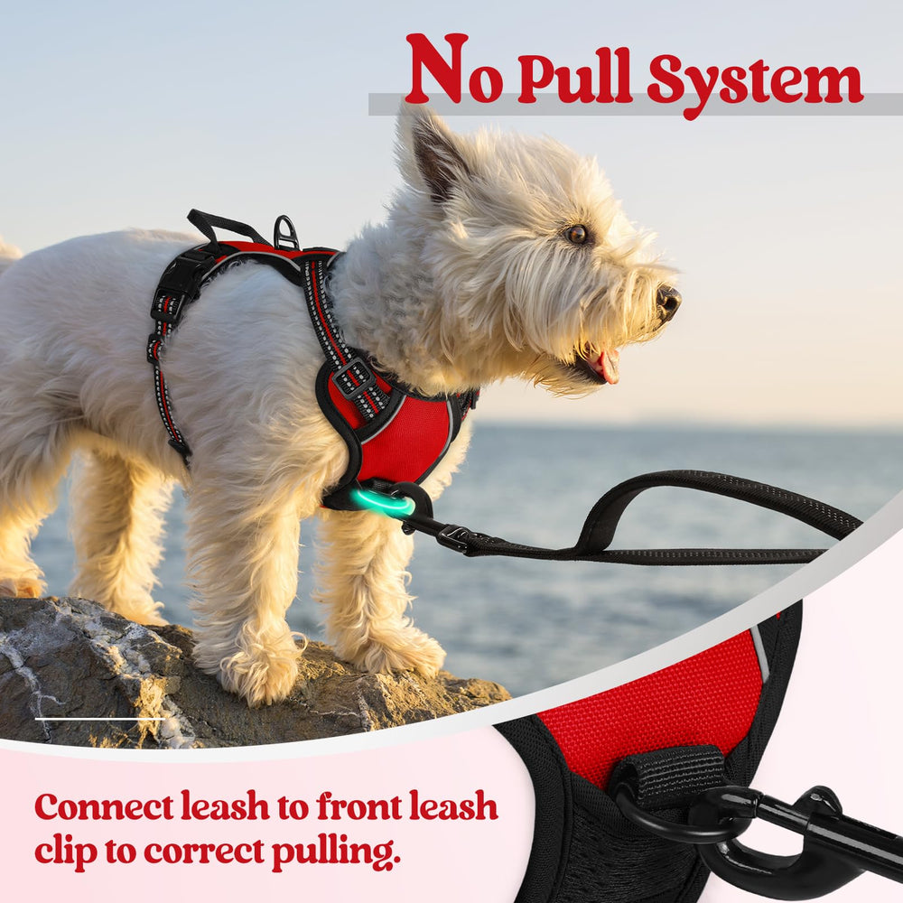 rabbitgoo arnés reflectante con rayas, alta visibilidad