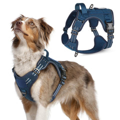 Arnés Rabbitgoo para perro con asa para control cómodo durante paseos