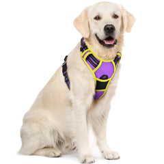 rabbitgoo arnés para perro con 2 mosquetones para paseos más seguros