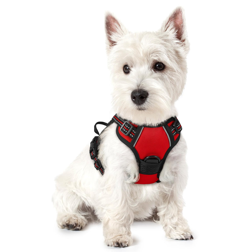 rabbitgoo arnés para perro sin tirones, vista frontal con control suave