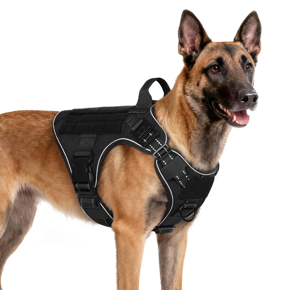 Rabbitgoo arnés táctico para perro visto de frente con correa frontal para control.