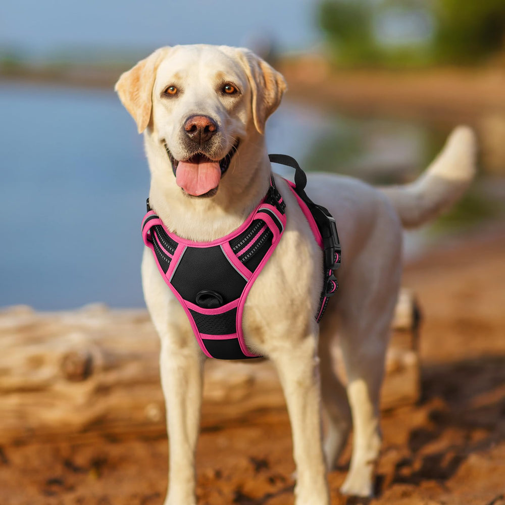 Arnés Rabbitgoo de talla mediana con ajuste para el crecimiento del perro.