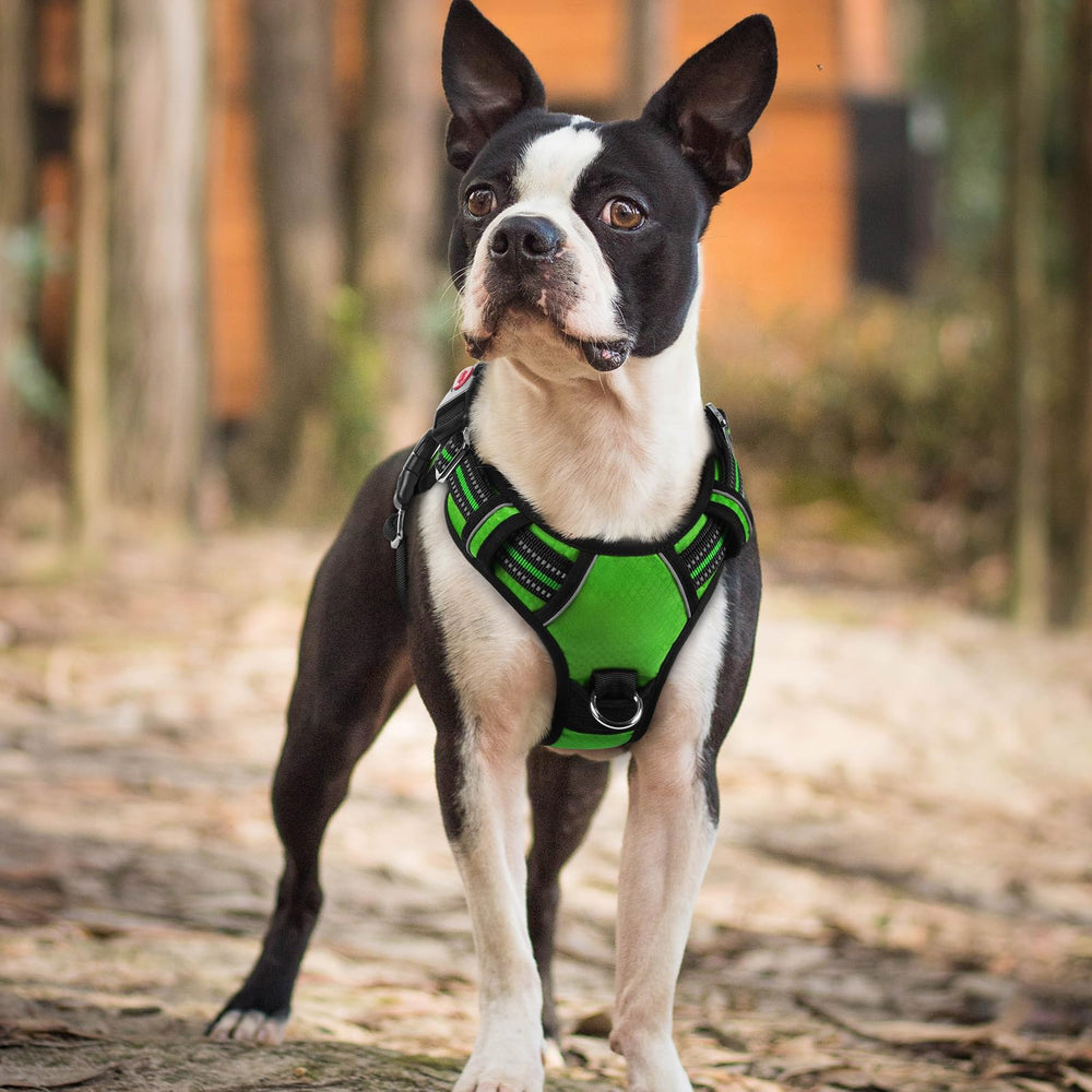Arnés Rabbitgoo talla pequeña: ajuste flexible para perros pequeños