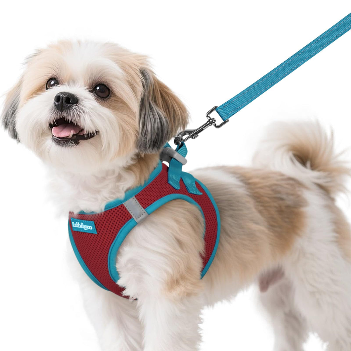 Arnés Rabbitgoo para perro, vista frontal, ajuste cómodo para paseos diarios