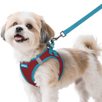 Arnés Rabbitgoo para perro, vista frontal, ajuste cómodo para paseos diarios