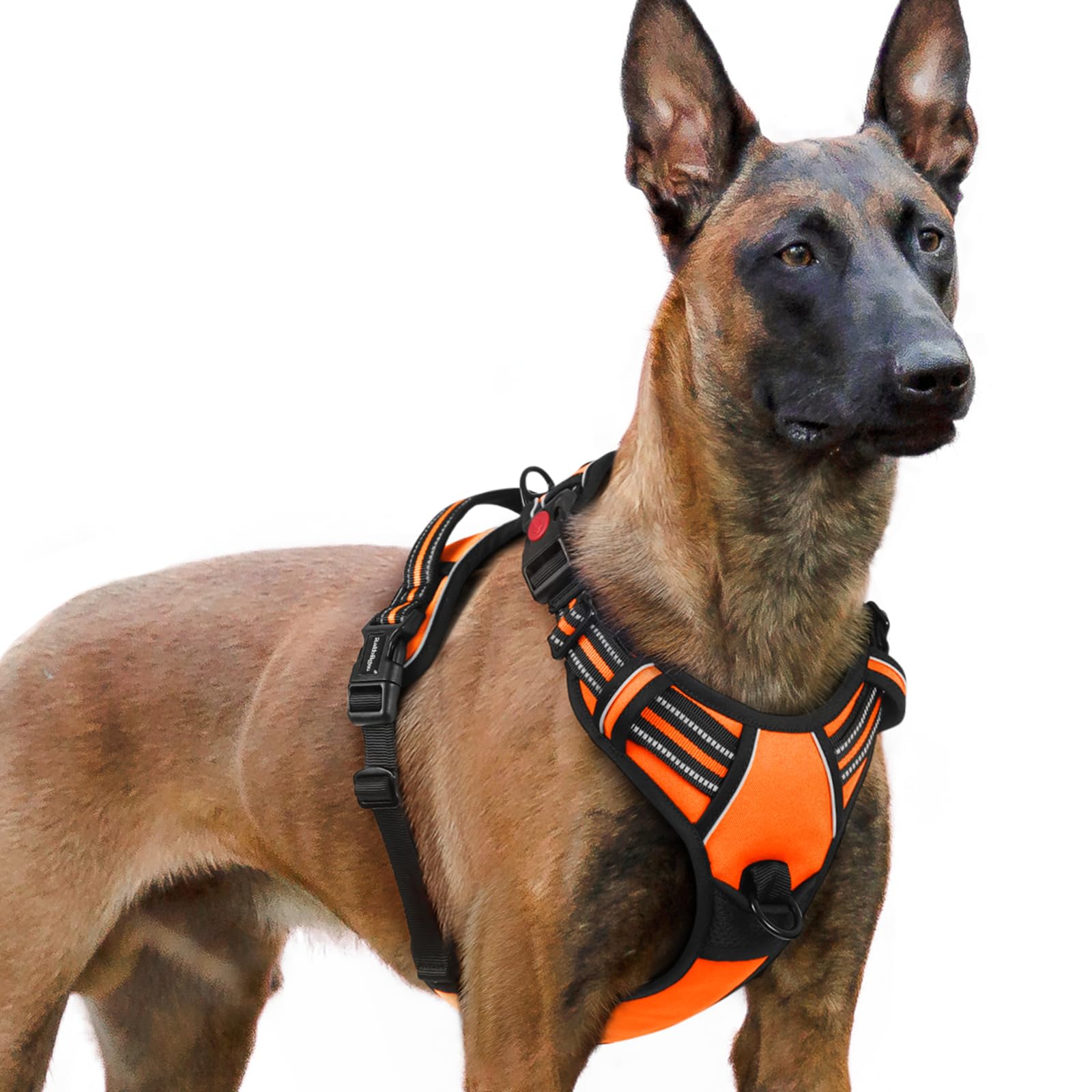 Arnés Rabbitgoo para perros grandes, sin tirones, talla XL, color naranja, paseo estable.