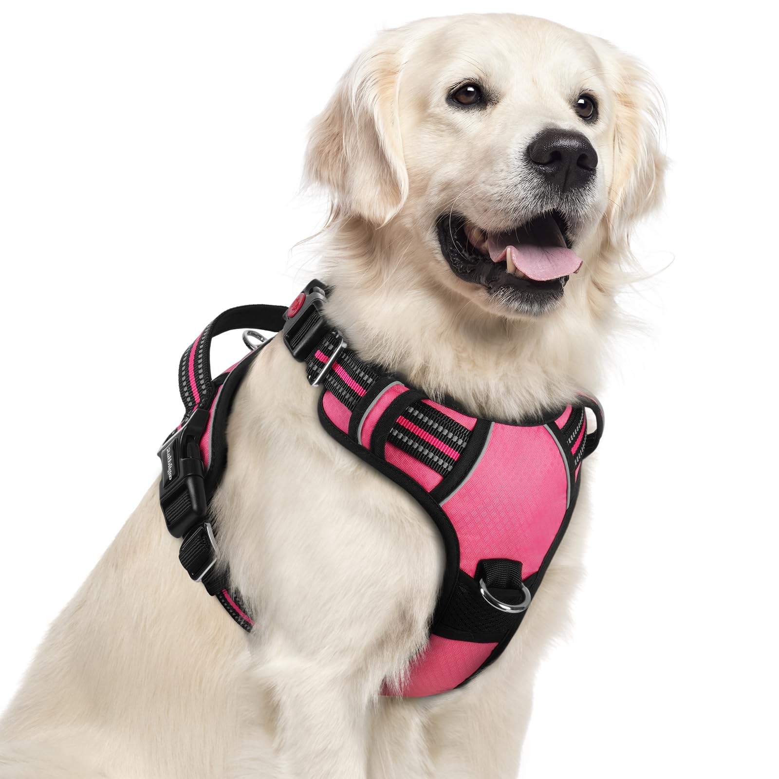 Arnés Rabbitgoo para perros grandes con tres hebillas para ajuste rápido.